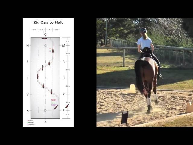 Eventer Exercise 2 - Zig Zag to Halt (preview)