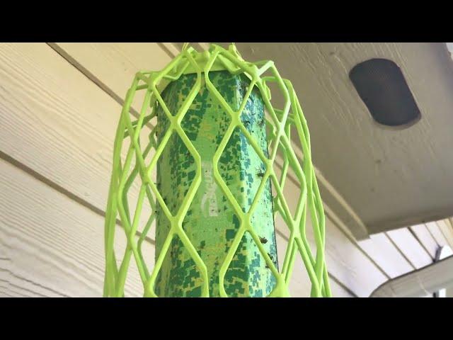 RESCUE! TrapStik for WASPS, Mud Daubers, Bees, etc. - Unboxing & Setup