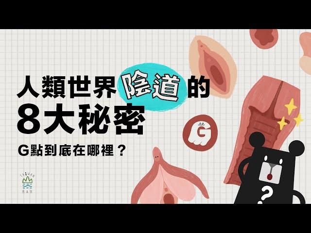 人類世界陰道的 8 大秘密｜臺灣吧 Taiwan Bar