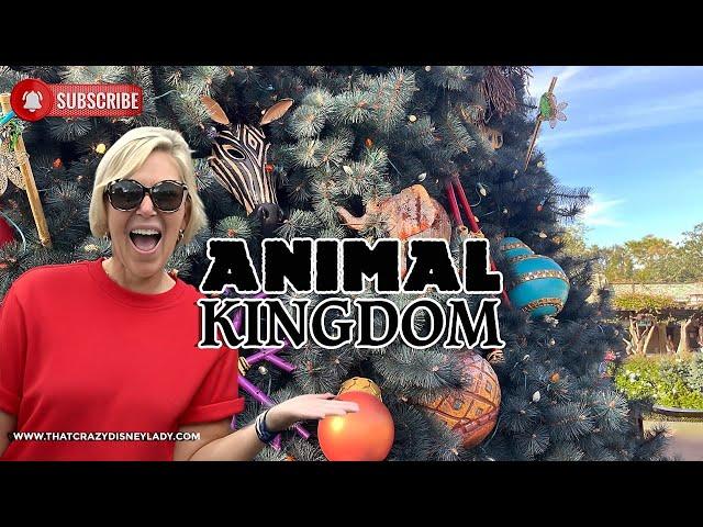 Animal Kingdom Rides and Shows 11/21/24