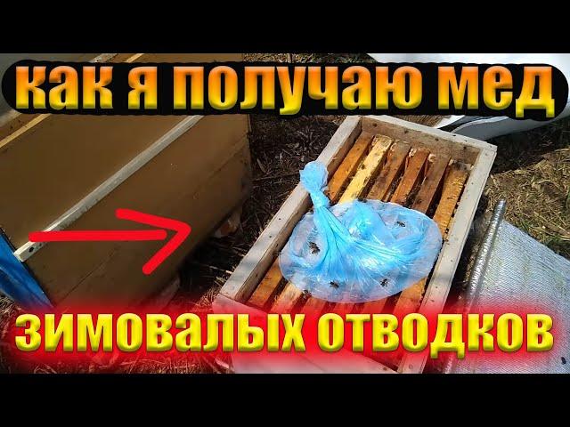 Содержание слабых семей пчел. Как получить товарный мед с зимовалых отводков.Улей Озерова.Часть 1