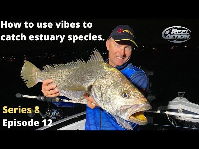 How to use vibes to catch estuary species.