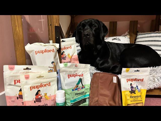 Pupford Product Review