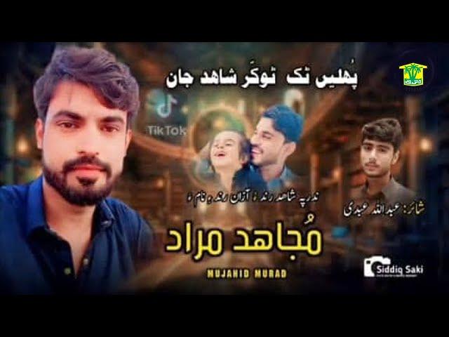 New Balochi Song | TEK TOKAR SHAHED JAN | MUJAID MURAD | Washmallay Classic