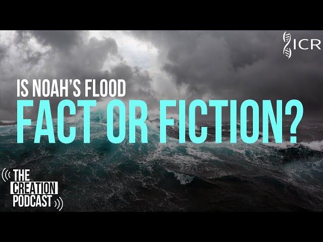 Is There Evidence for a Global Flood? | The Creation Podcast: Episode 15