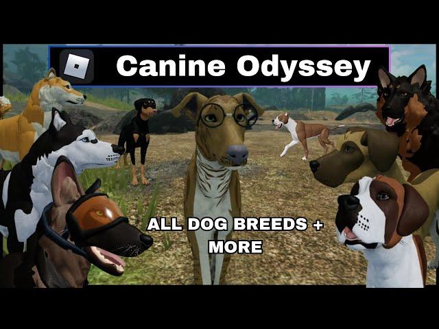 Canine Odyssey - New Greyhound, All Dog Breeds + Easter event! Roblox Dog RP Game Update