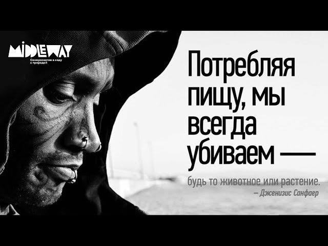 Почему мы едим. Джерико Санфаер