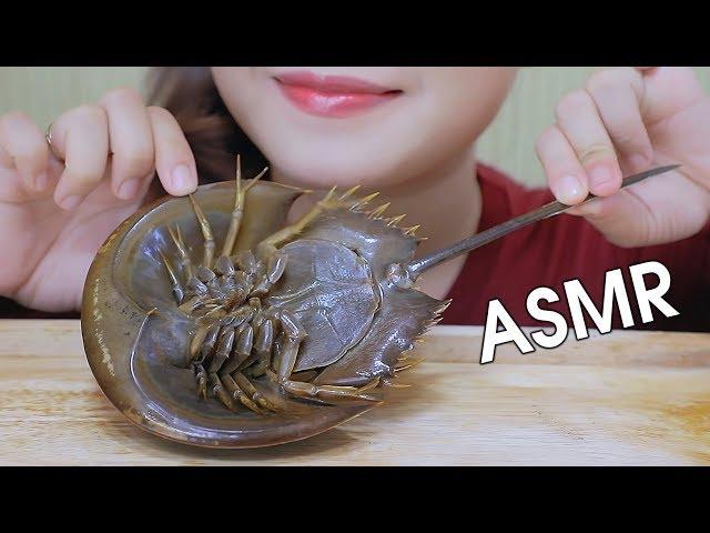 ASMR EATING HORSESHOE CRAB (EXOTIC FOOD), SOFT CRUNCHY EATING SOUNDS 먹방 | LINH-ASMR