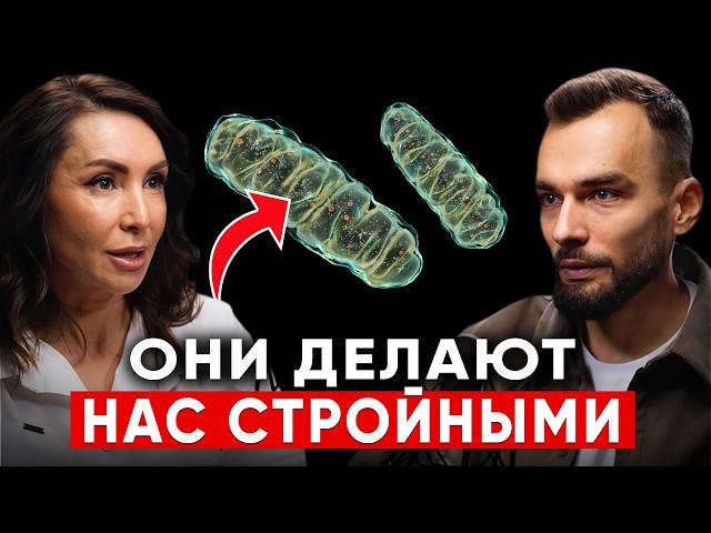 Тело само начнет сжигать жировые клетки! Как быстро похудеть по науке? Эндокринолог Диляра Лебедева