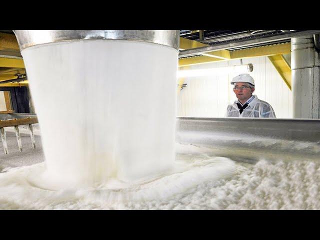 How Sugar is Made