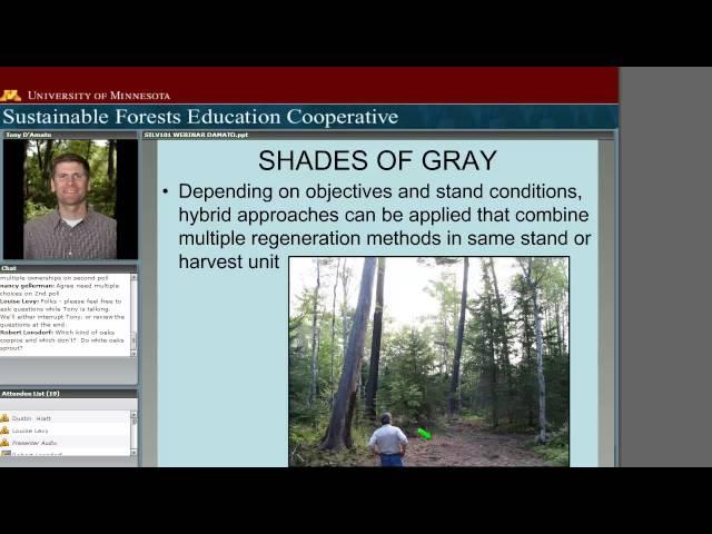 Silviculture 101 Systems and Terminology