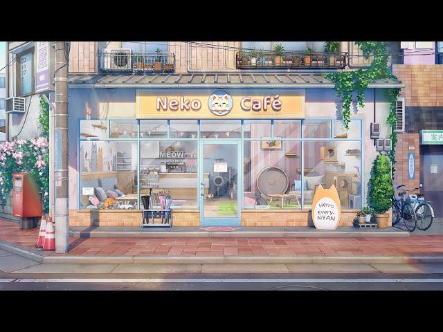 the cat café  chill lofi mix