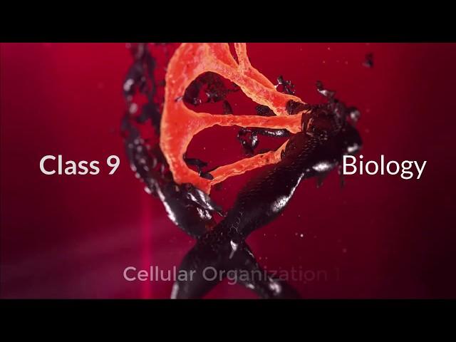 Class 09 Bio B01L08 Cellular Organization Part 1
