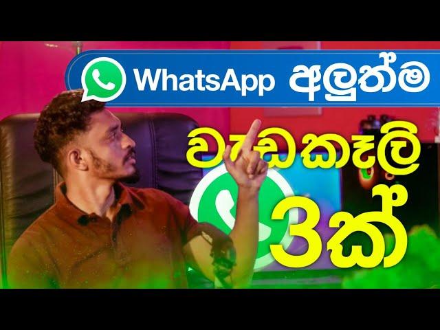 New 3 hidden WhatsApp tips and tricks Sinhala | Panda Tech Whatsapp Update