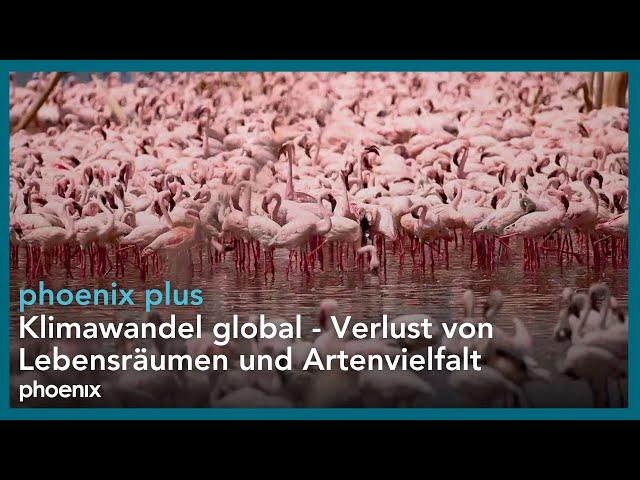 Verlust von Artenvielfalt | #Klimawandel global