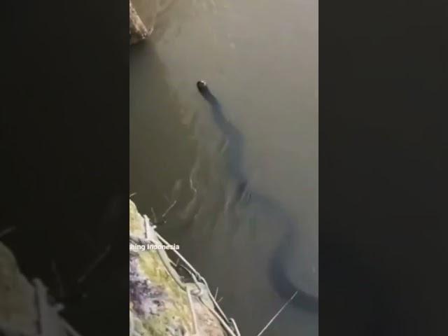  OMG.!! see what is in the water... Subscribe for more videos..