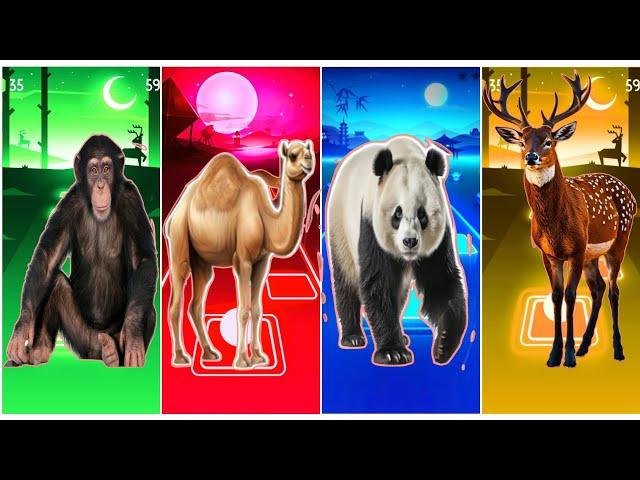 Funny Monkey  Funny Camel  Funny Panda  Funny Peinder  Tiles Hop EDM RUSH️