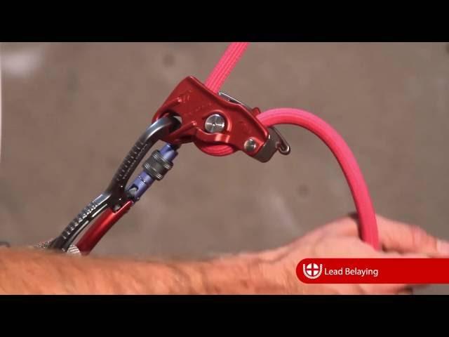 Lifeguard Belay Device