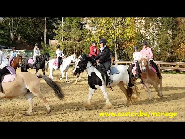 Spectacle Saint Hubert 2017 manège des Castors - castor.be