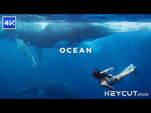 [4K DEMO/KEYCUTstock] OCEAN