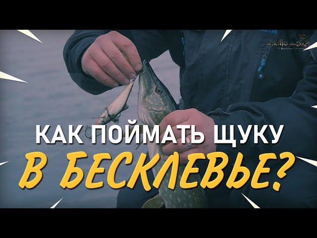 Как поймать щуку в бесклевье. Практика ловли с Валерием Сикиржицким. Выпуск 47