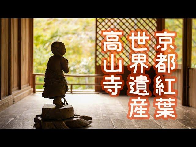 【京都紅葉】世界遺産高山寺