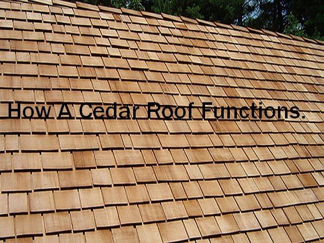 What's eating your Roof? Cedar Shakes Roof Cleaning 🪵 Wood Roof Cleaning Process