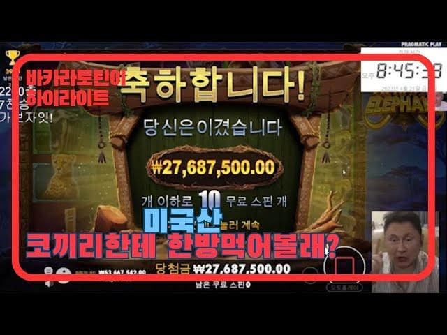 푸틴 3천만원짜리 미국산 코끼리 타고 왔어여 feat.바카라토틴