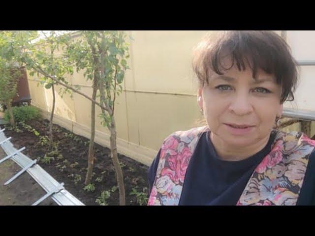Спасаю урожай. Все для красоты и уюта. Делаю новую грядку с бордюром. Жизнь семьи в деревне.