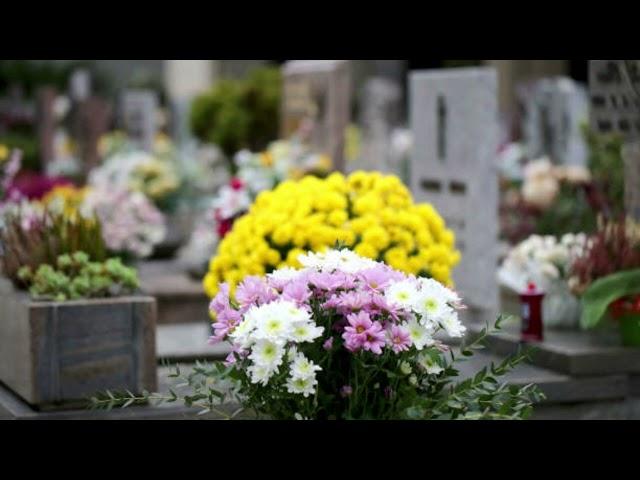 "Flores para Lupita" Hoy en Miércoles de Leyendas Las #leyendaschoyeras