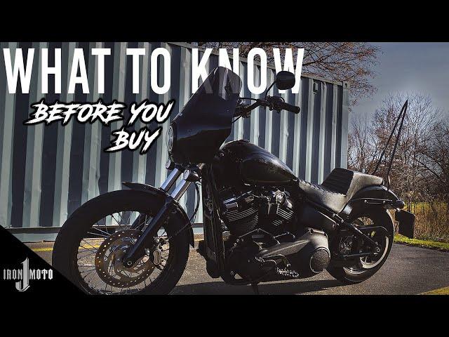 BEFORE You Buy A Softail Street Bob!