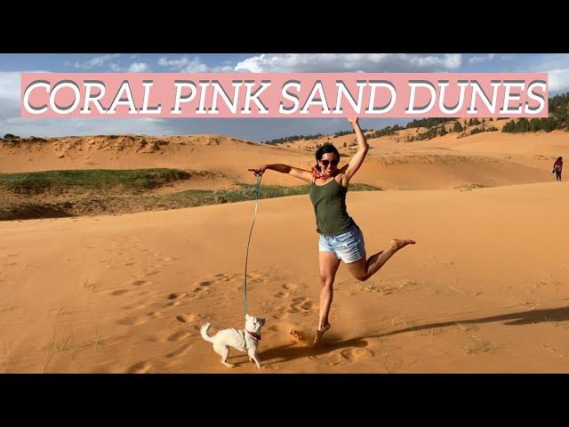 Coral Pink Sand Dunes State Park - Utah