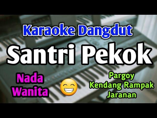 SANTRI PEKOK - KARAOKE || NADA WANITA CEWEK || Versi Koplo || Pargoy || Live Keyboard