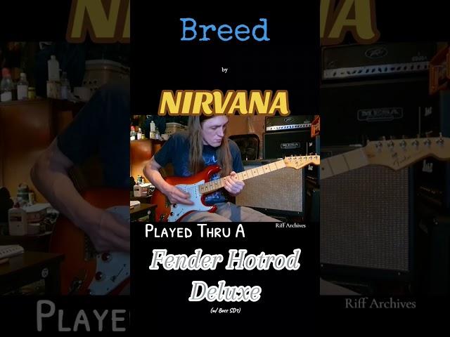 #breed #nirvana #fenderhotroddeluxe #riffoftheday #guitartone #grunge #classicrock #guitar #riffs