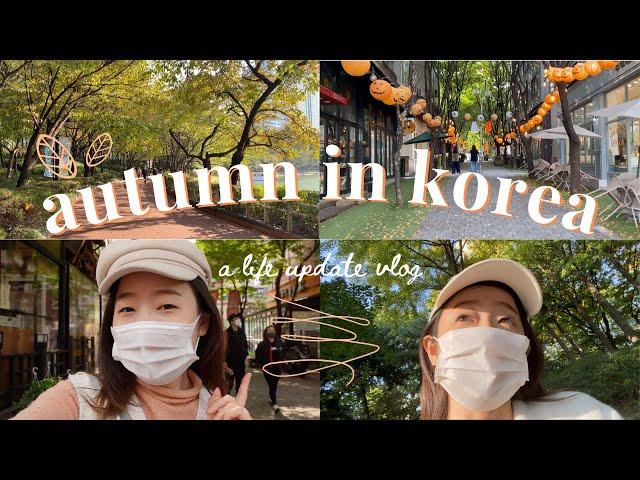 seoul vlog: autumn in korea, decision paralysis & some exciting announcements… #livinginkorea