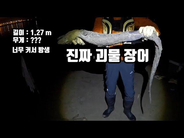 밤 원투 낚시로 잡은 진짜 큰 괴물 장어 1.27 m 너무 커서 풀어줌