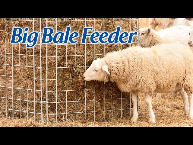 Big Bale Feeder