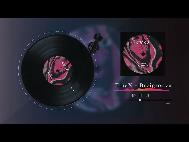 TineX - Brzigroove