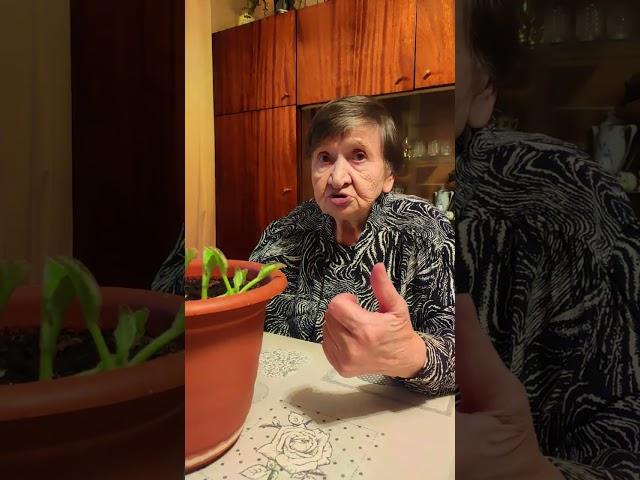 Полив комнатных растений зимой и летом