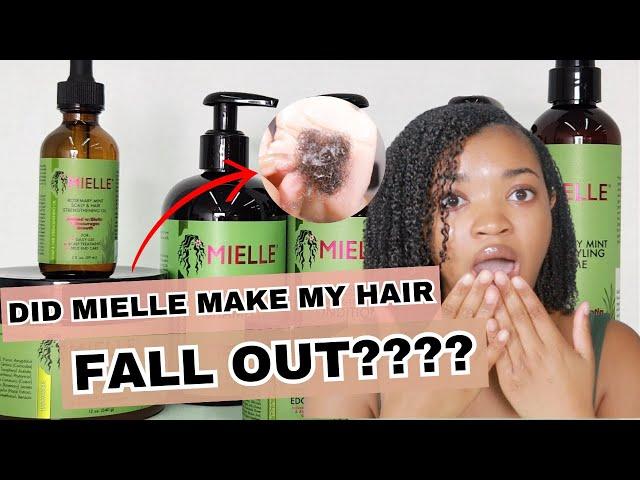 Is the Controversy TRUE??? | The TRUTH about Mielle Organics + Review