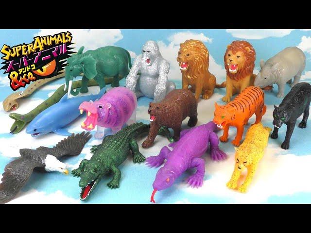 [SUPER ANIMALS ＆ Co.] The quality is amazing...!? Introducing all 16 types of super animals!!