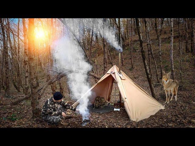 Solo camp among hungry jackals - Hot tent - Wood burning stove - Bushcraft trip - ASMR