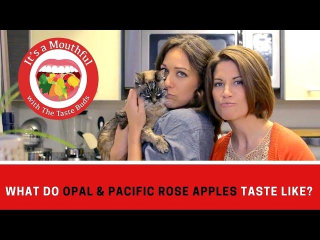 What do OPAL & ROSE APPLE taste like? (plus there's a cat)