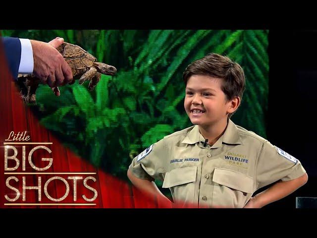 Meet Australia's Fearless 6-Year-Old Reptile Ranger