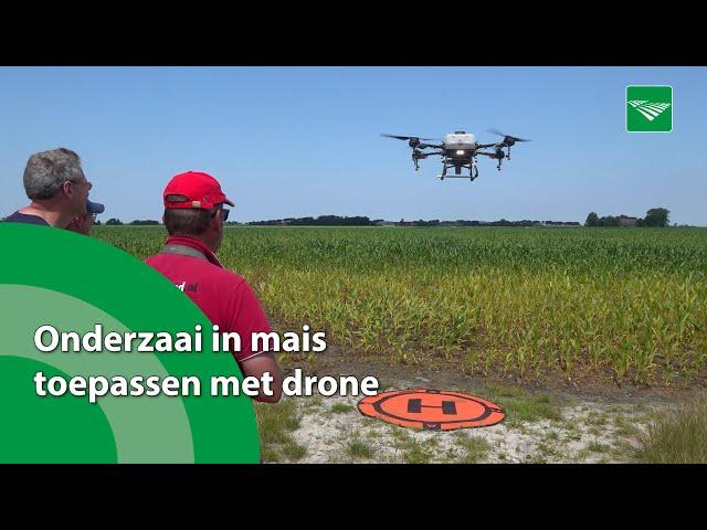 Melkveehouder Tilma past onderzaai mais toe met drone