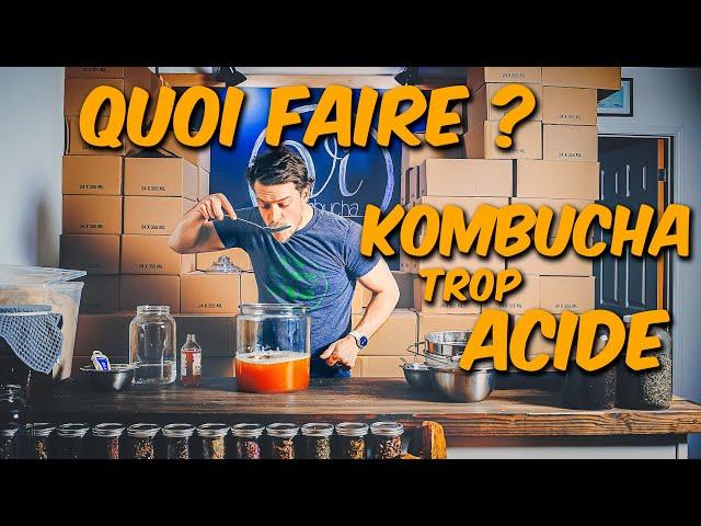 Quoi-faire si votre Kombucha est trop acide ou vinaigré ?