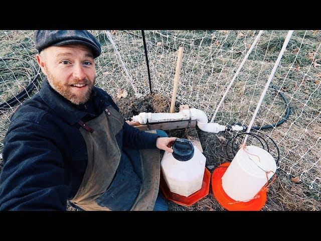 My Three BEST Chicken Waterers (for Winter)