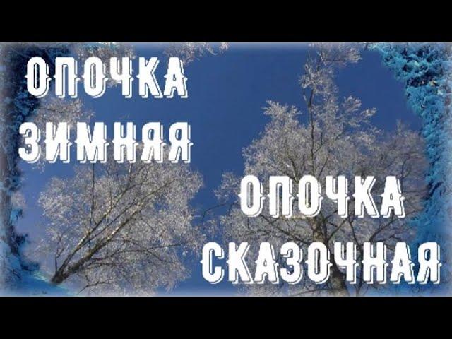 ОПОЧКА ЗИМНЯЯ -  ОПОЧКА СКАЗОЧНАЯ