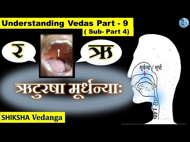 Pronunciation place of ऋ , ट , ठ,  ड , ढ, ण , र , ष वर्ण   | (Practical demonstration)