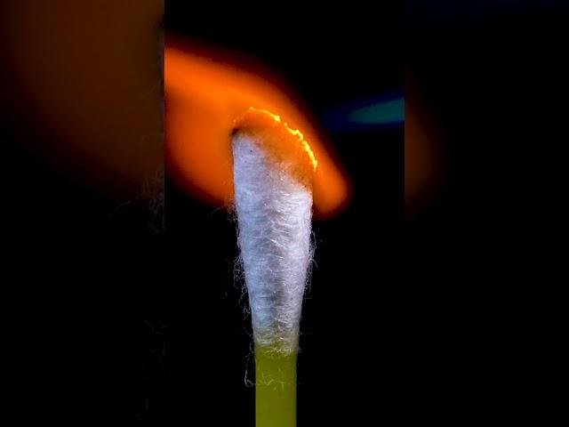 Cotton Bud Macro | Macro Close Up Experiment | Macro Experiments  #calming #experiment  #satisfying